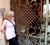 brasov hass gate
