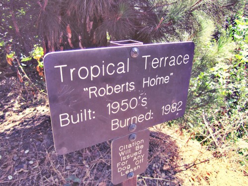 Tropical Terrace