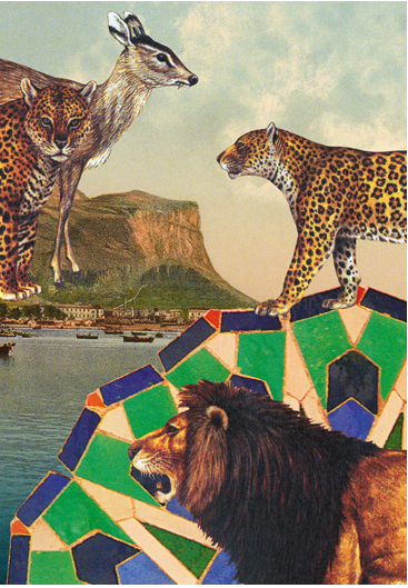Animals