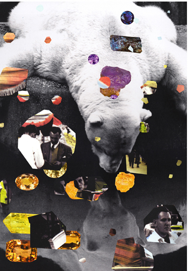 Polar Bear