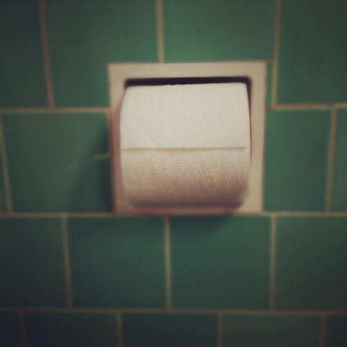 Toilet Paper on the roll