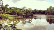 Morikami Museum Garden